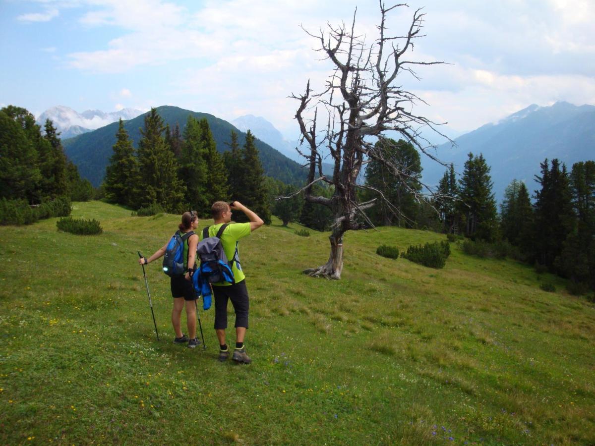 Activ-Family-Apart-Wisiol-Pitztal Sommercard Inklusive Jerzens Extérieur photo